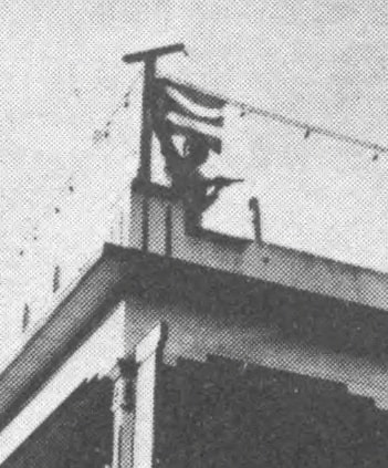 jayuya-bandera.jpg